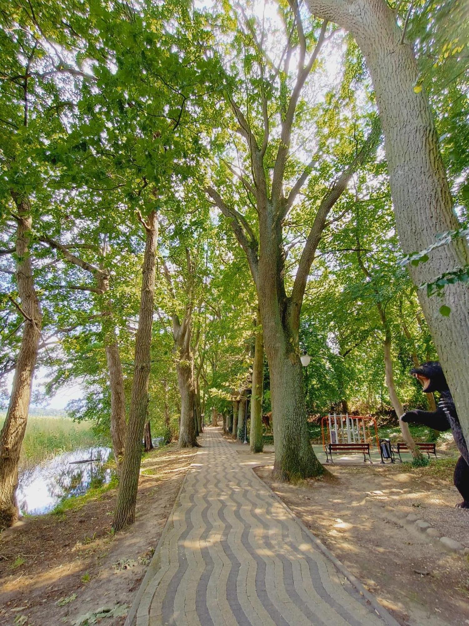 Campsite Obok Plazy Moryn