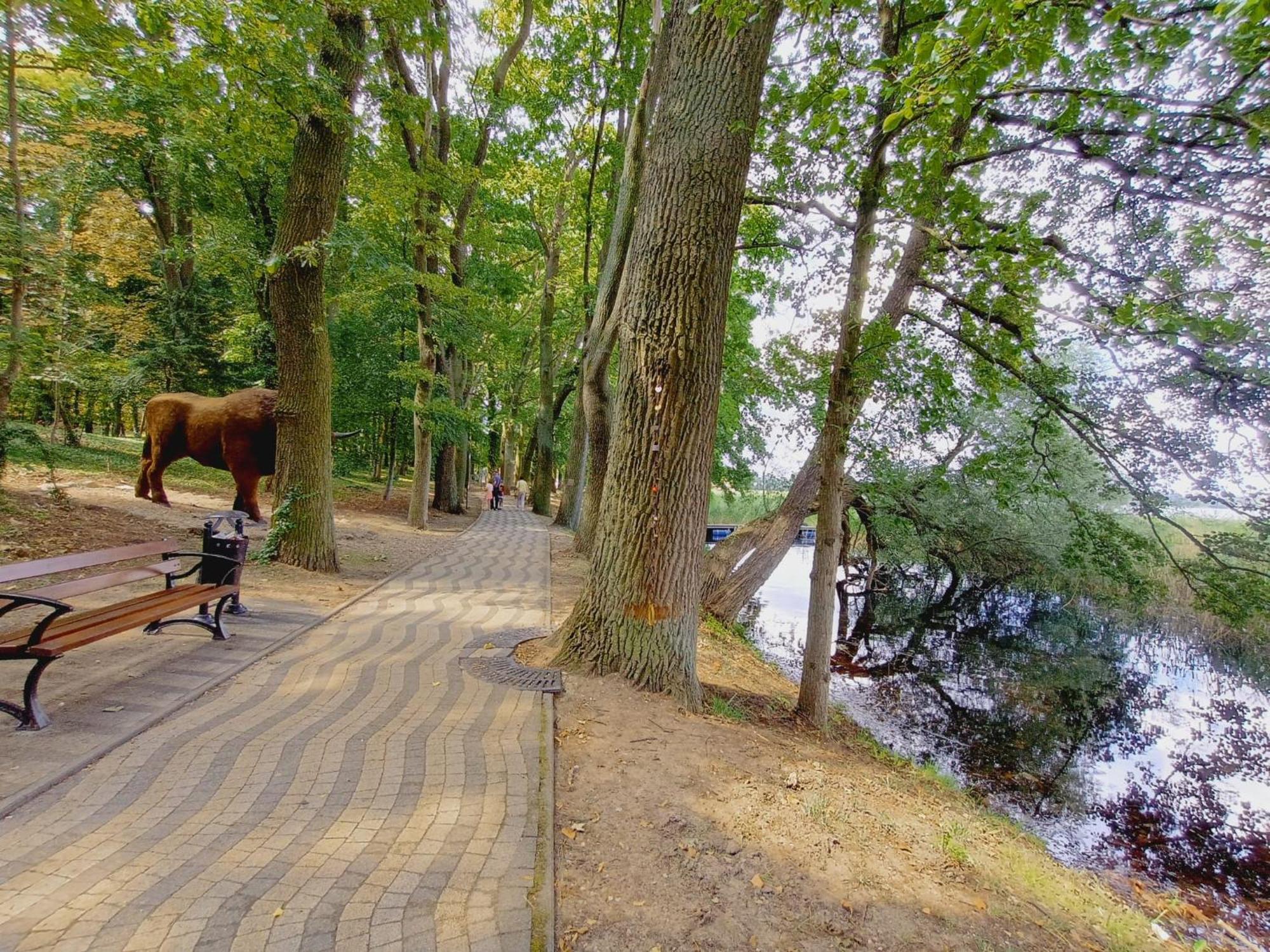 Campsite Obok Plazy